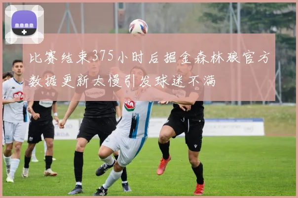 比赛结束375小时后掘金森林狼官方数据更新太慢引发球迷不满