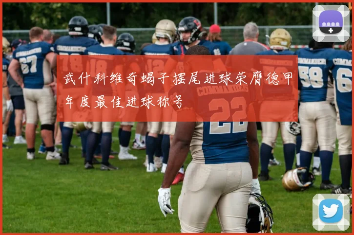武什科维奇蝎子摆尾进球荣膺德甲年度最佳进球称号