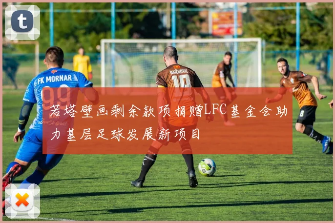 若塔壁画剩余款项捐赠LFC基金会助力基层足球发展新项目